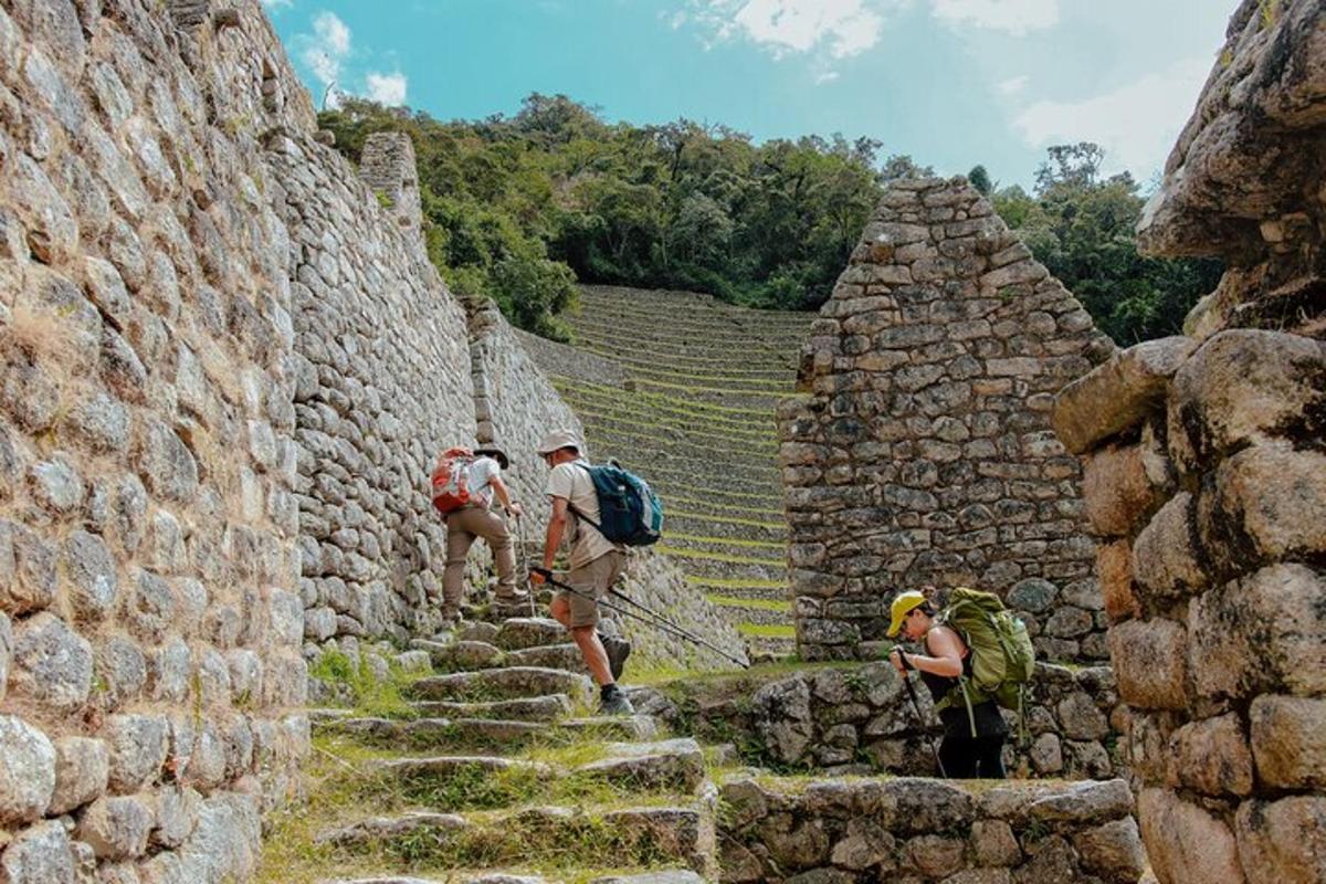 um grupo de pessoas subindo algumas escadas de pedra