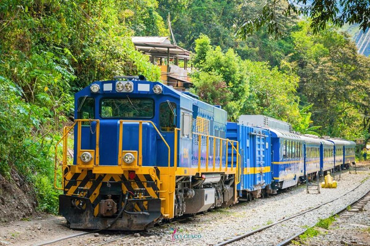 isang asul at dilaw na tren na naglalakbay sa riles
