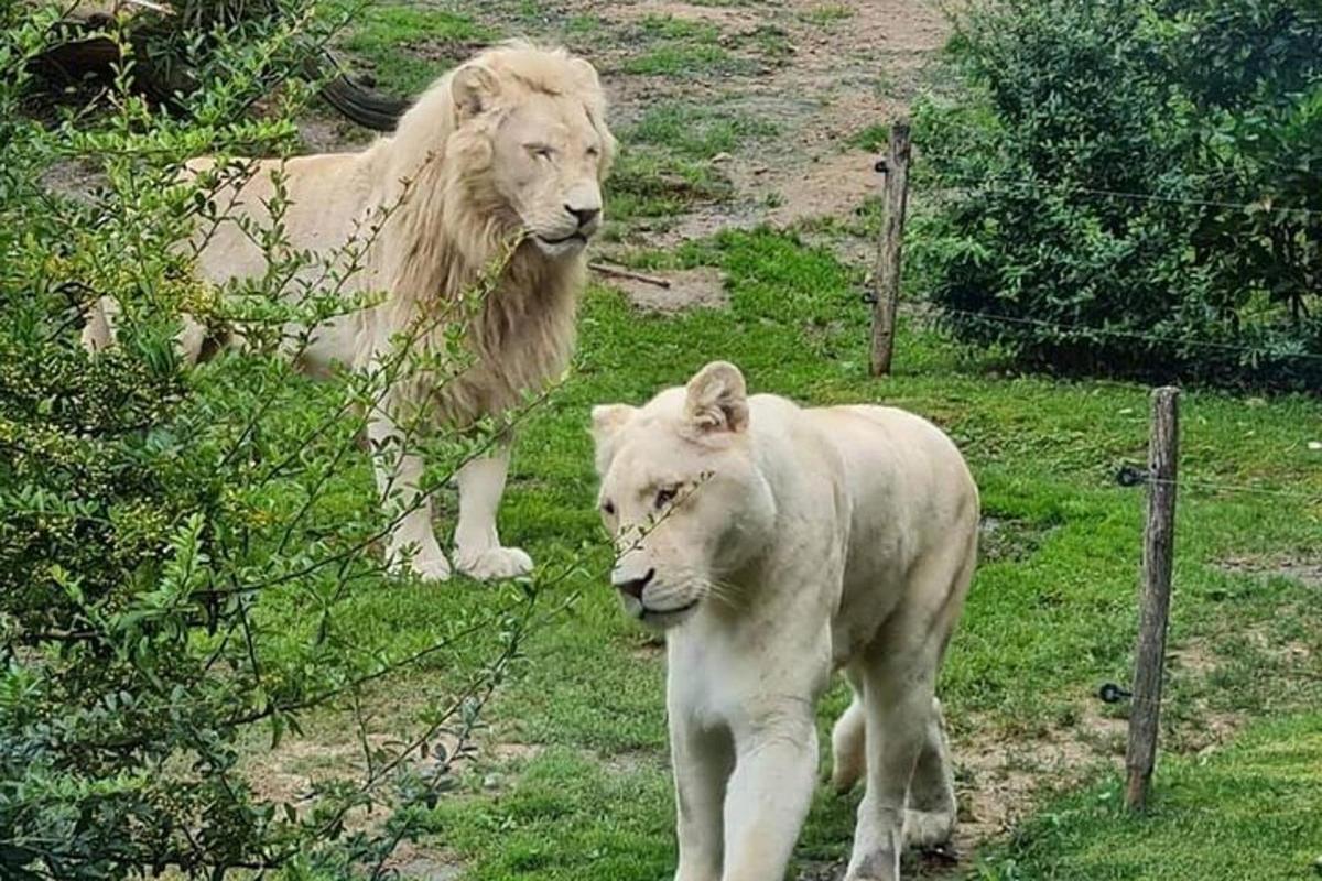 5枚目の観光スポット・アクティビティの写真