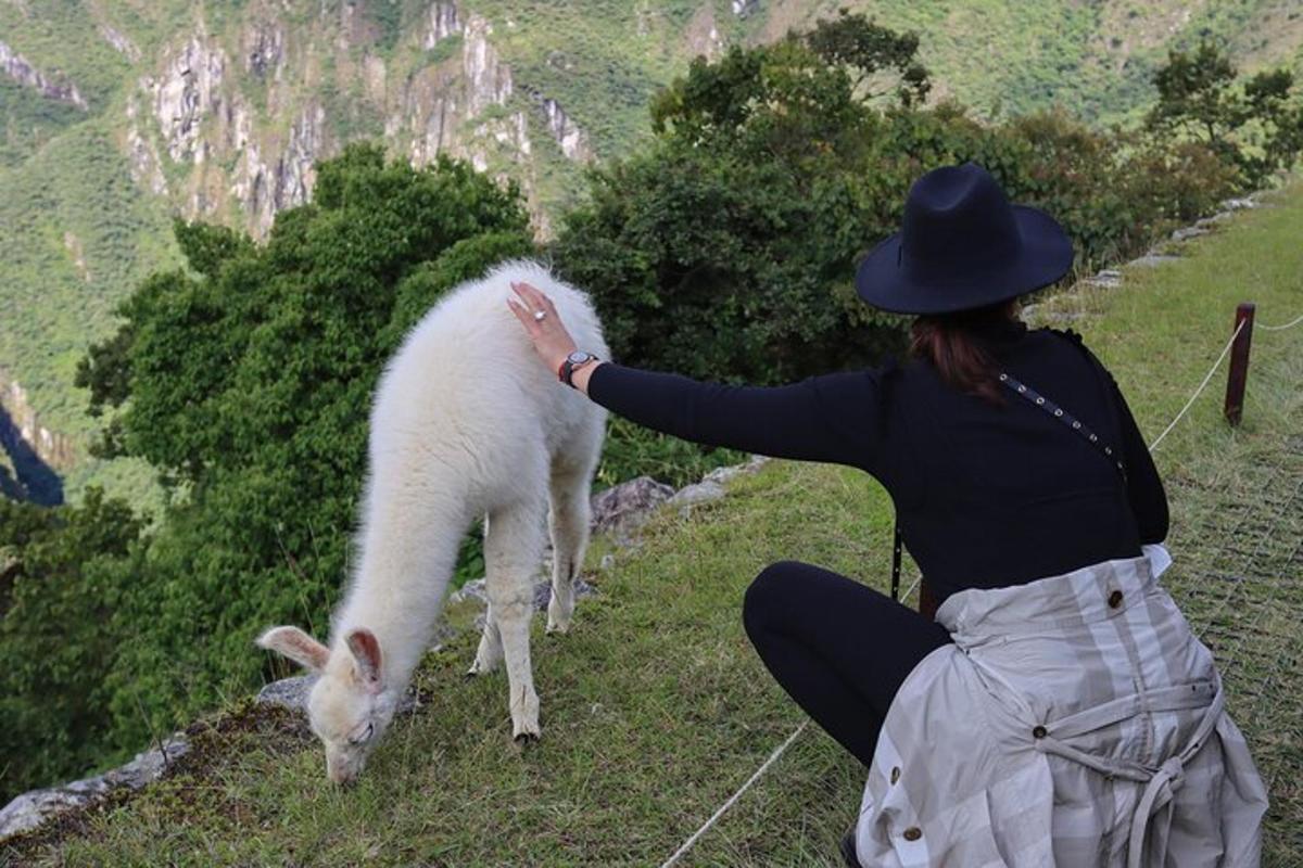 Una mujer con sombrero acariciando una oveja en una colina