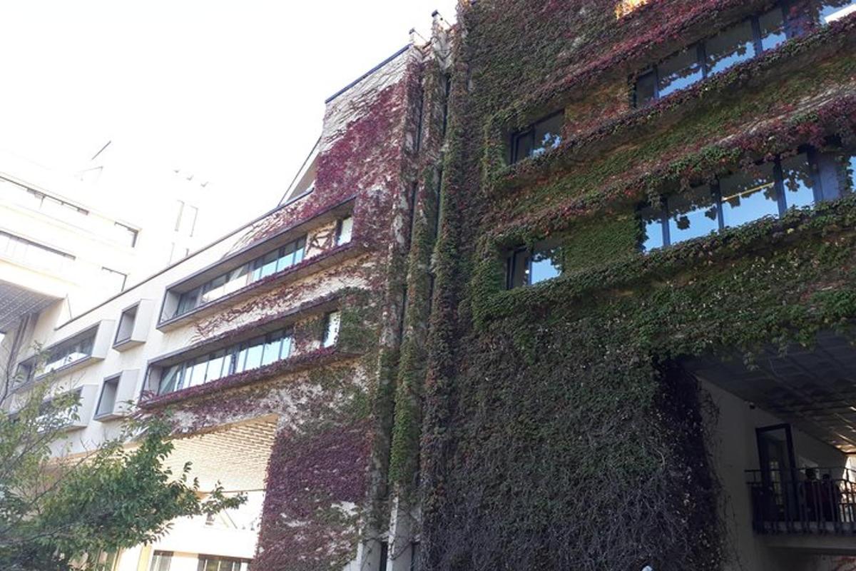 an old brick building with ivy on the side of it