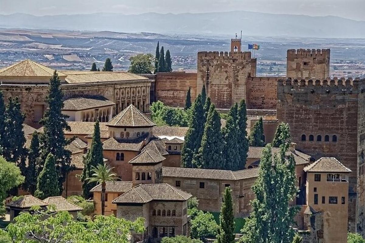 una vista di una città con un castello e alberi
