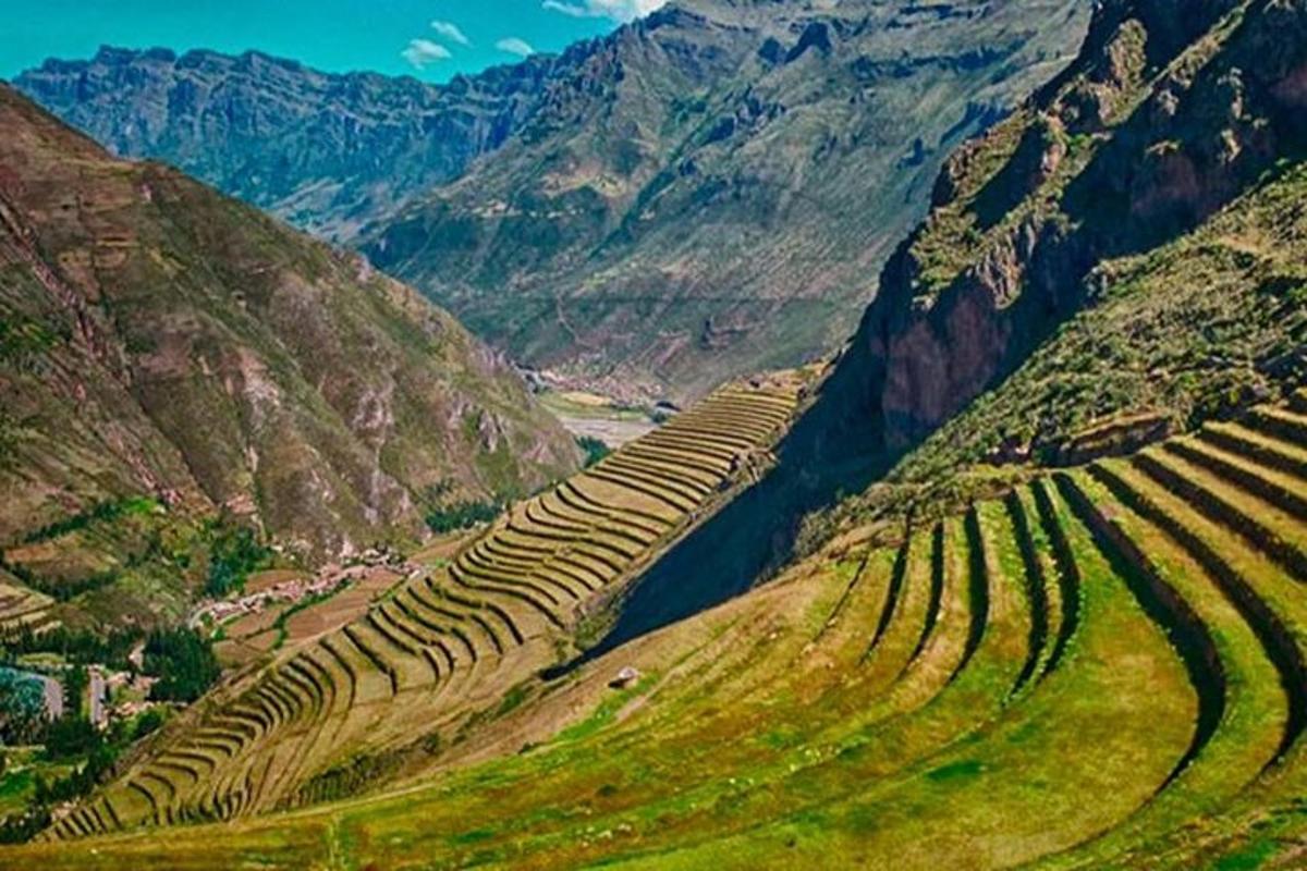 a group of terraced crops on a mountain