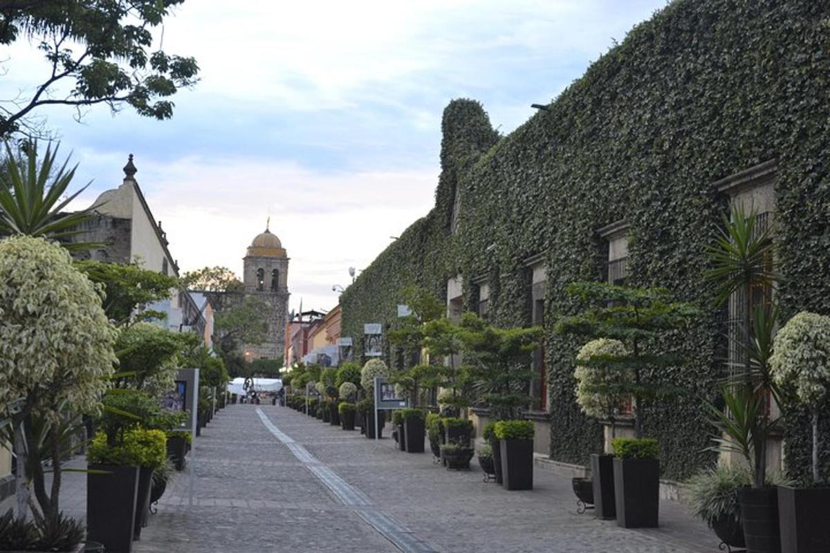 Dlážděná ulice s rostlinami a budovou