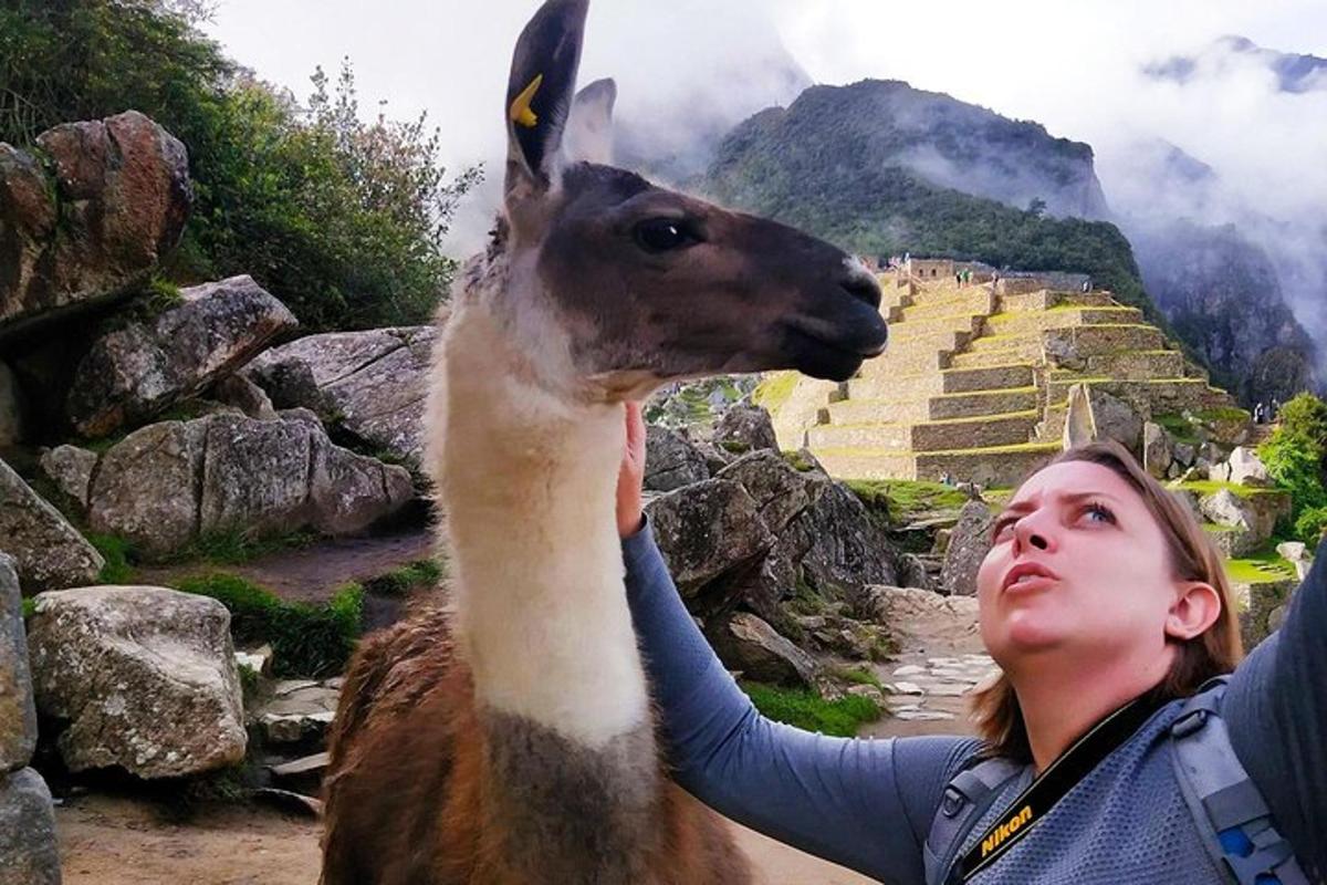 uma mulher parada ao lado de uma lhama em uma montanha