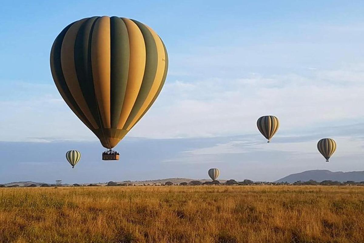 Fotografia da atração 5