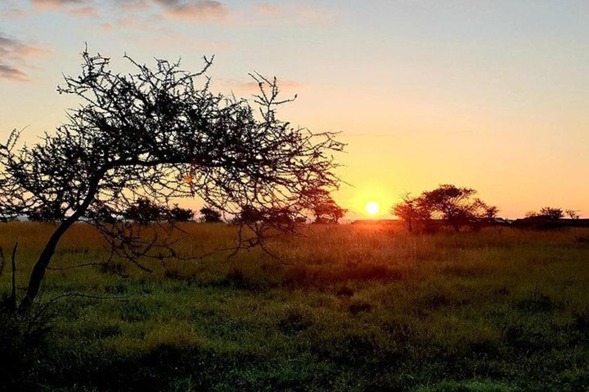 Fotografia da atração 6