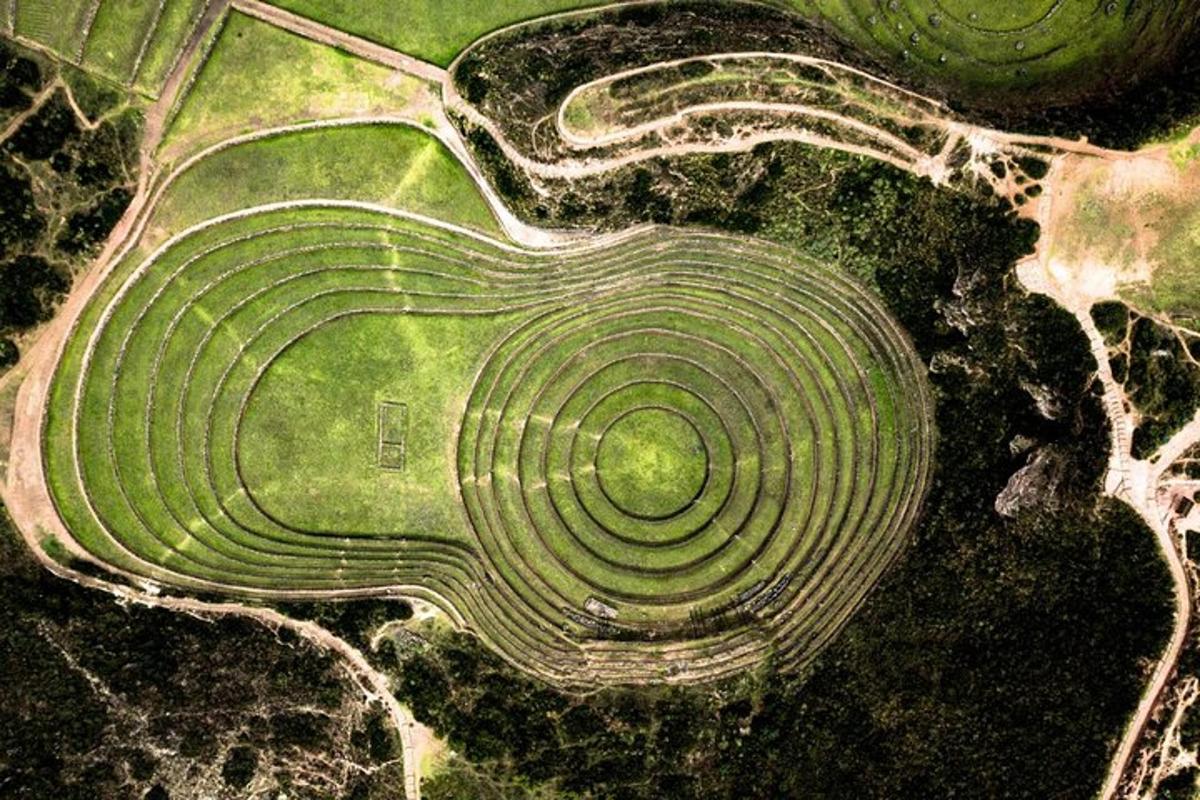une vue aérienne d'un grand champ vert