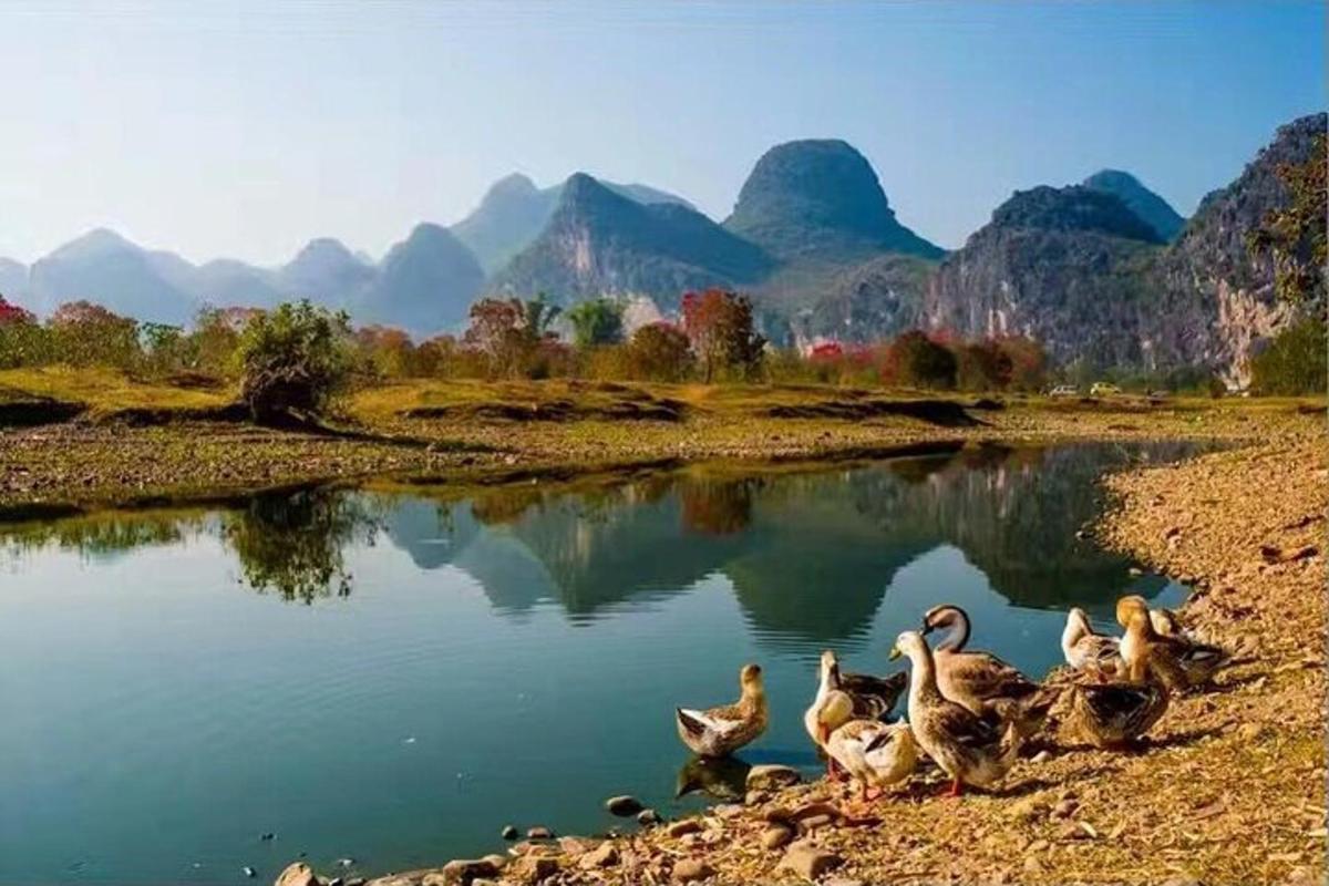 sekumpulan itik duduk di tepi tasik