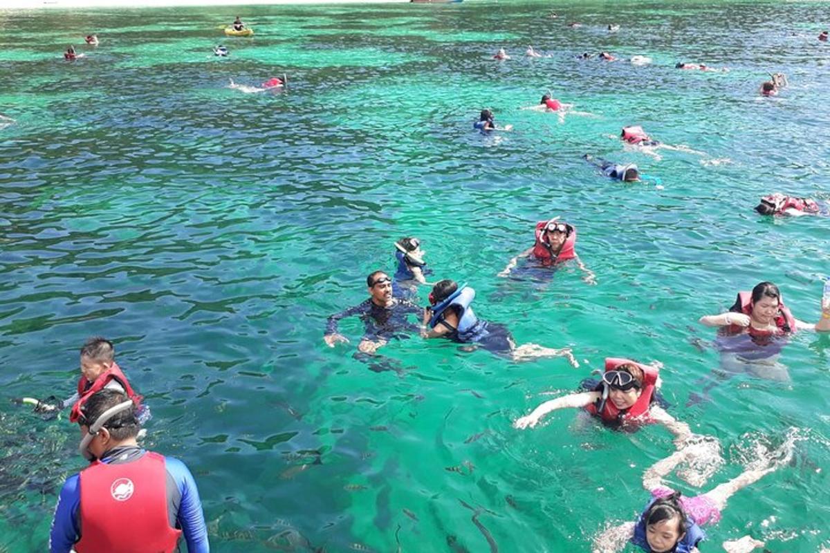 水中で泳いでいる人々のグループ