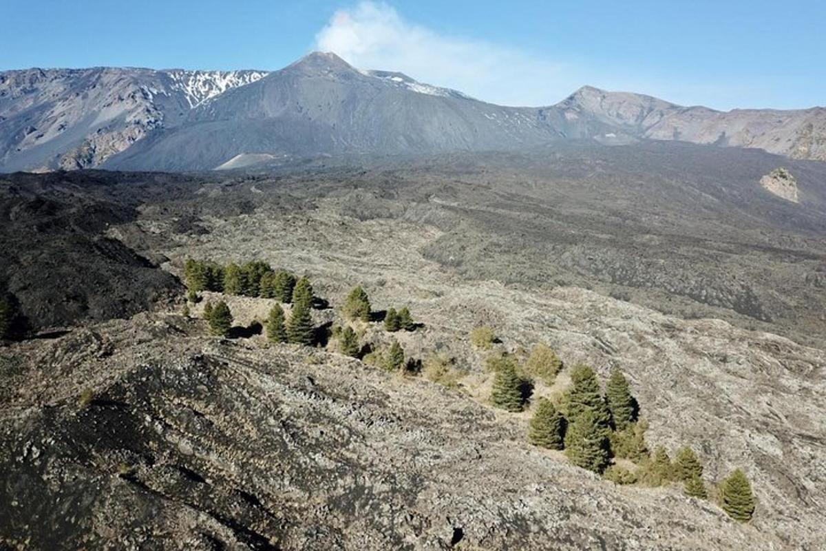 una vista di una montagna con alberi su una collina