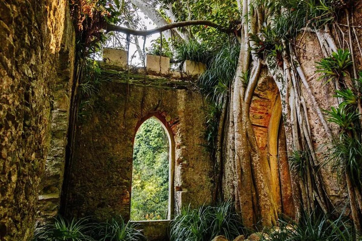 an old building with a window and some trees