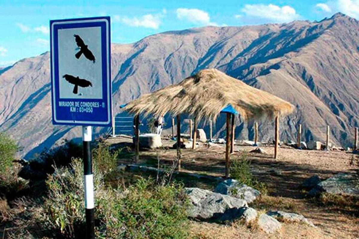 dağın önünde üzerinde kuş bulunan bir tabela