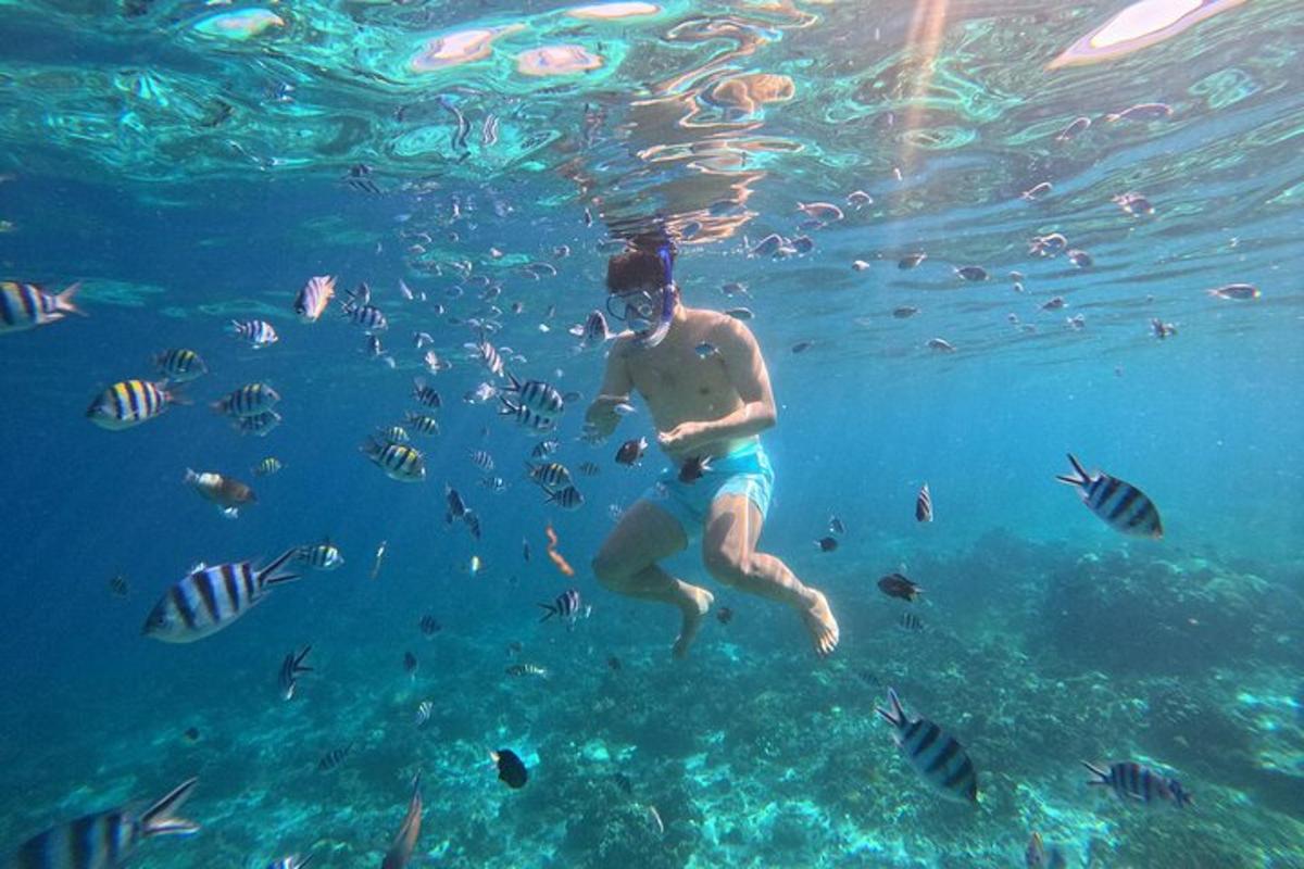un uomo che nuota nell'acqua con i pesci