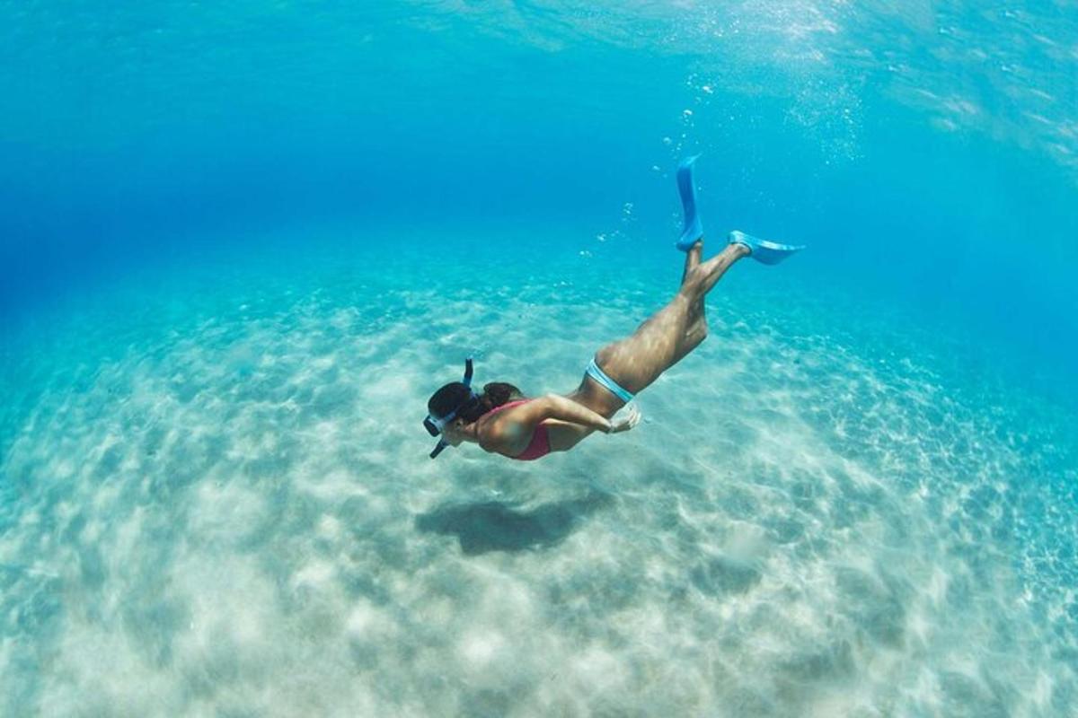 una donna in bikini che nuota nell'oceano