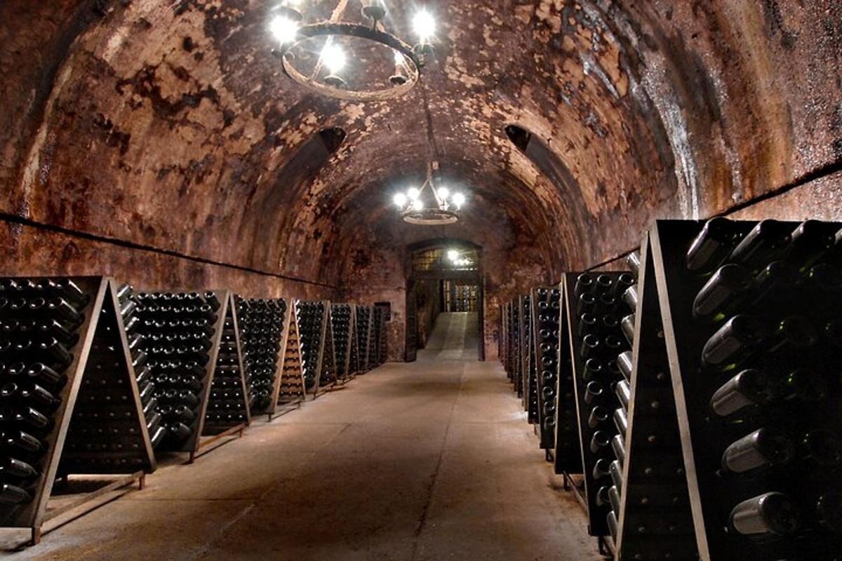 uma adega com uma fileira de garrafas de vinho