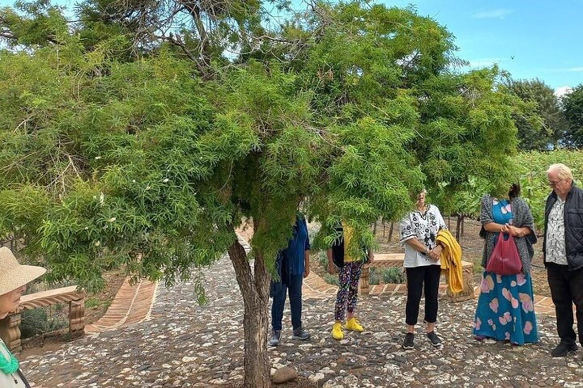 Un grupo de personas de pie alrededor de un árbol.