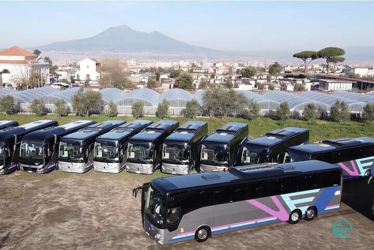 eine Reihe von Bussen, die auf einem Feld geparkt sind