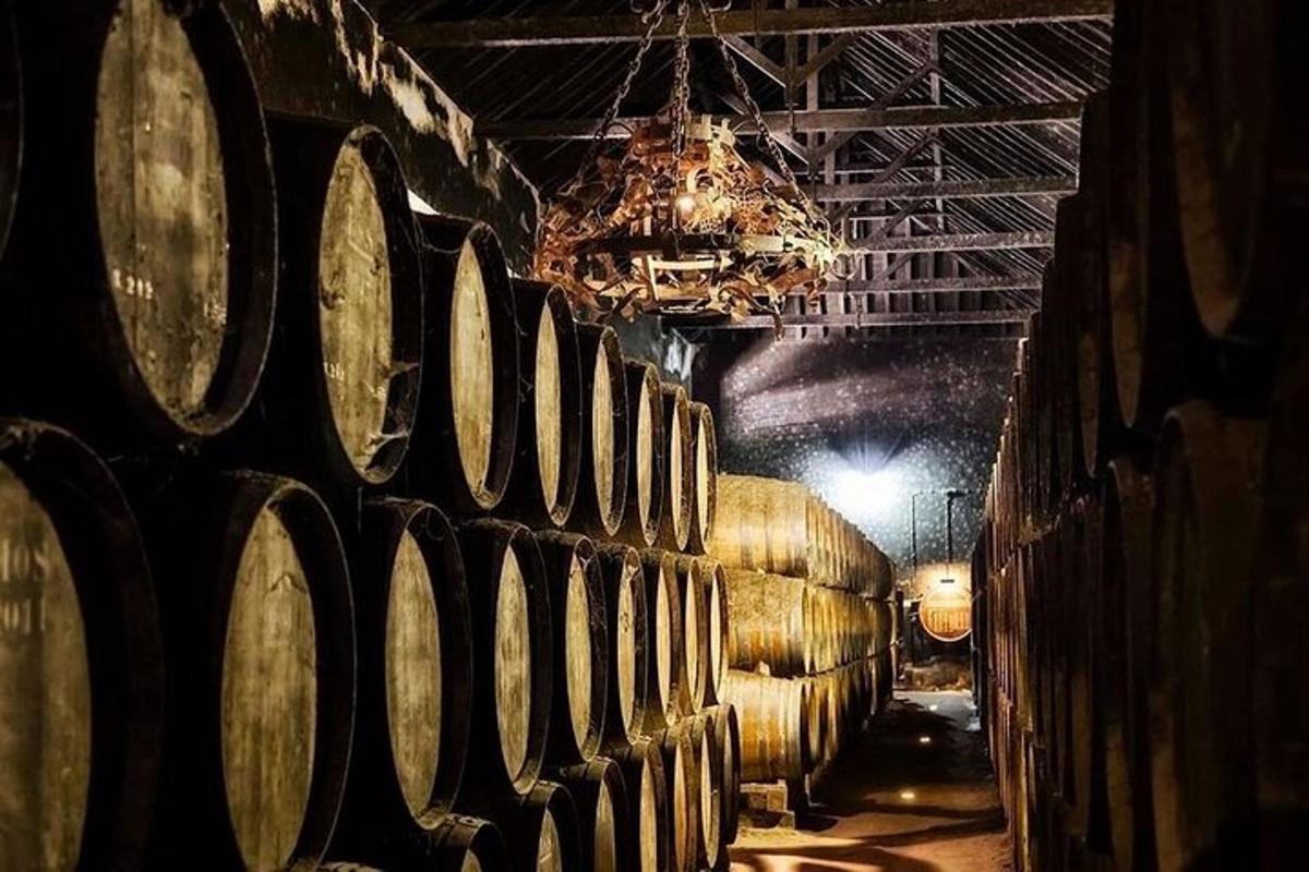 una filera de bótes de vi en un celler
