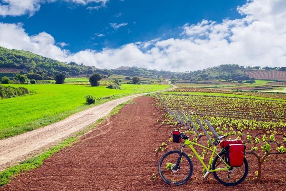una bicicleta aparcada en un camí de terra en un camp
