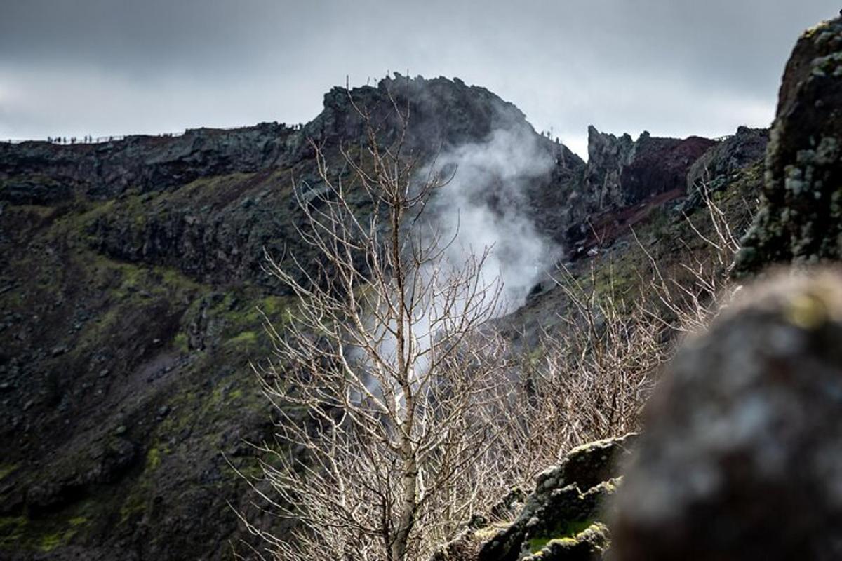 ένα δέντρο στην πλαγιά ενός βουνού με καπνό