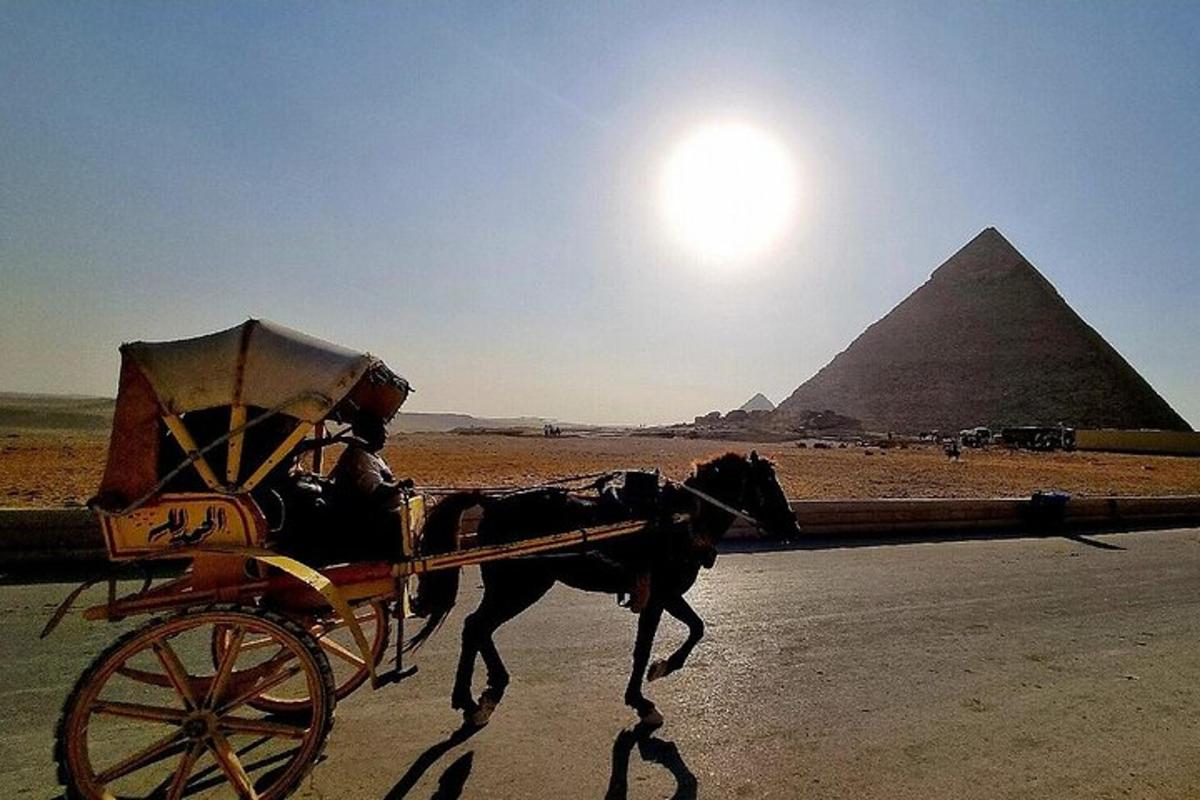 kůň táhnoucí vozík před pyramidami