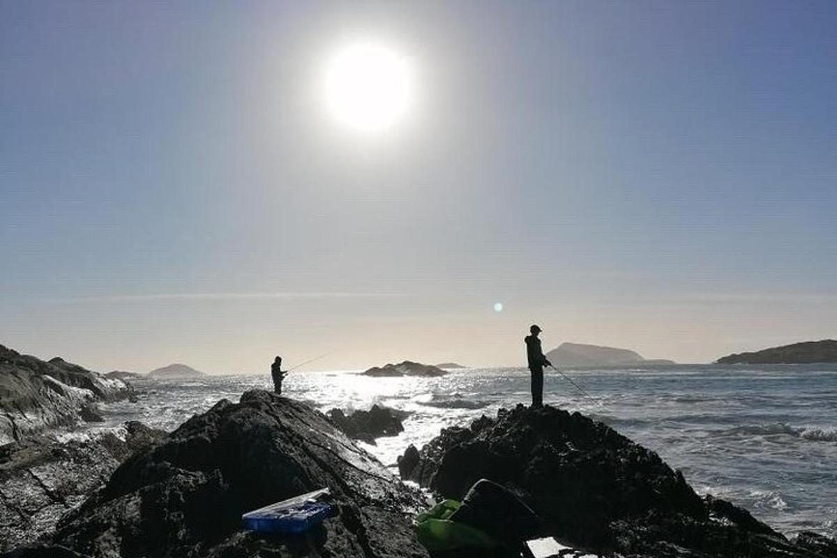 Lankytinos vietos ar pramogos nuotrauka numeris 7