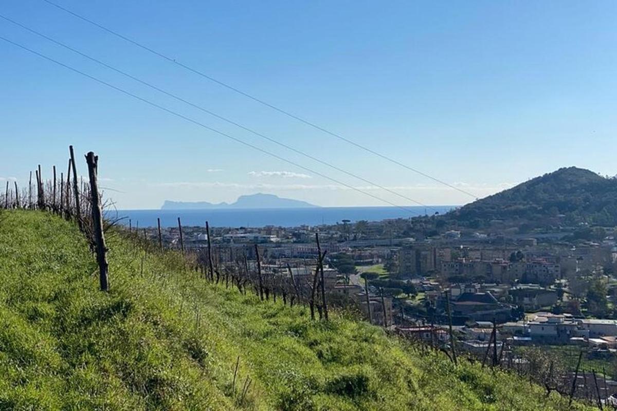 a hill with telephone poles on the side of a city
