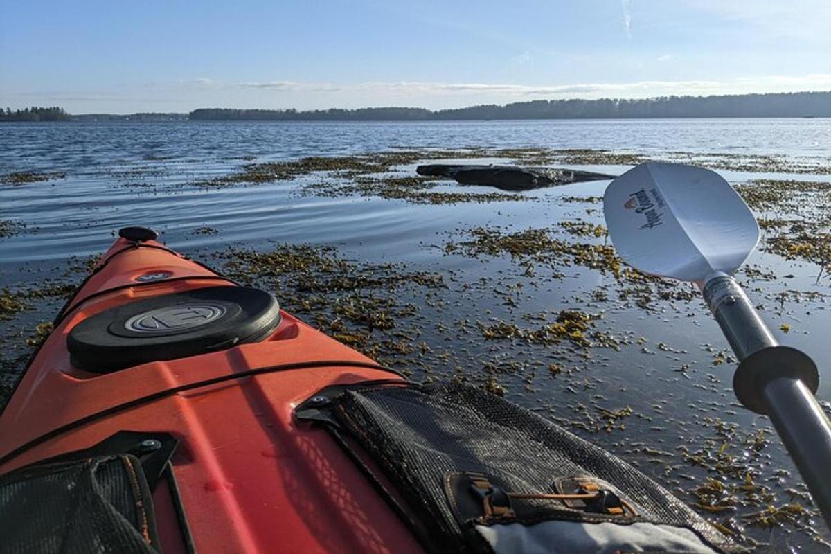 a red kayak sitting in the water with a paddle