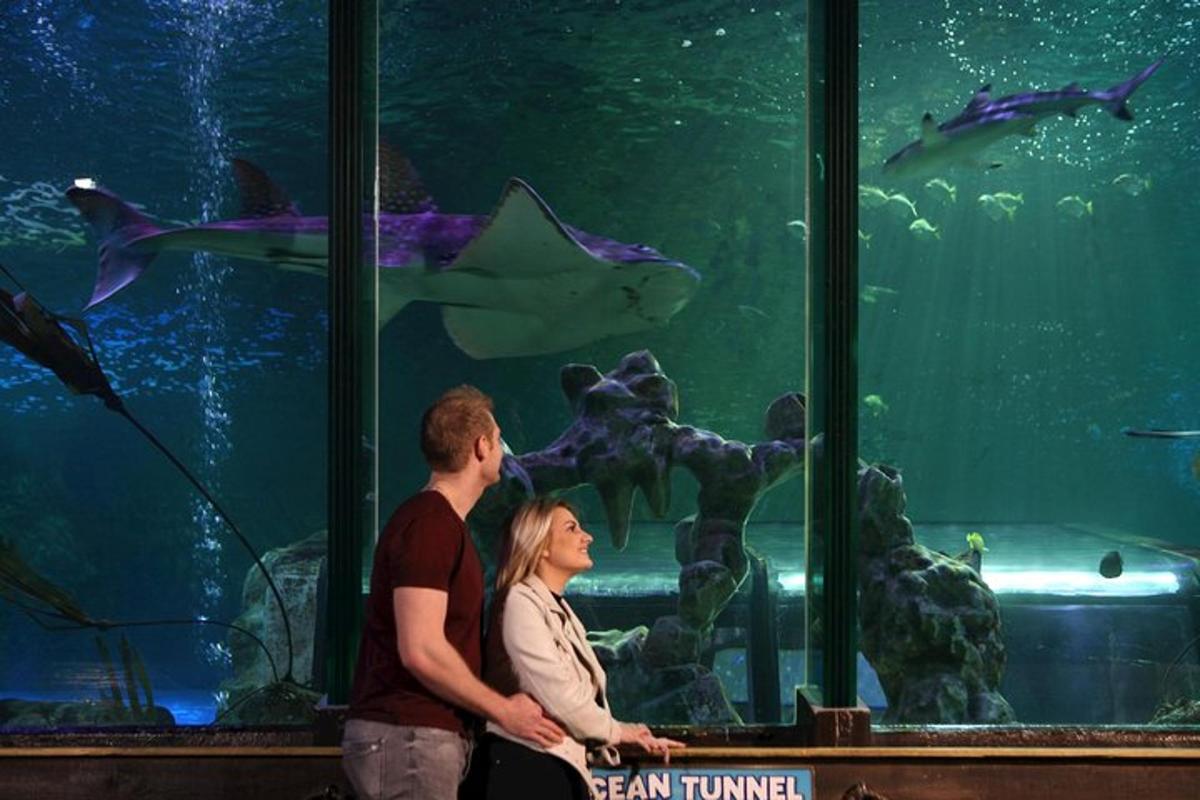 a man and woman standing in front of a large aquarium