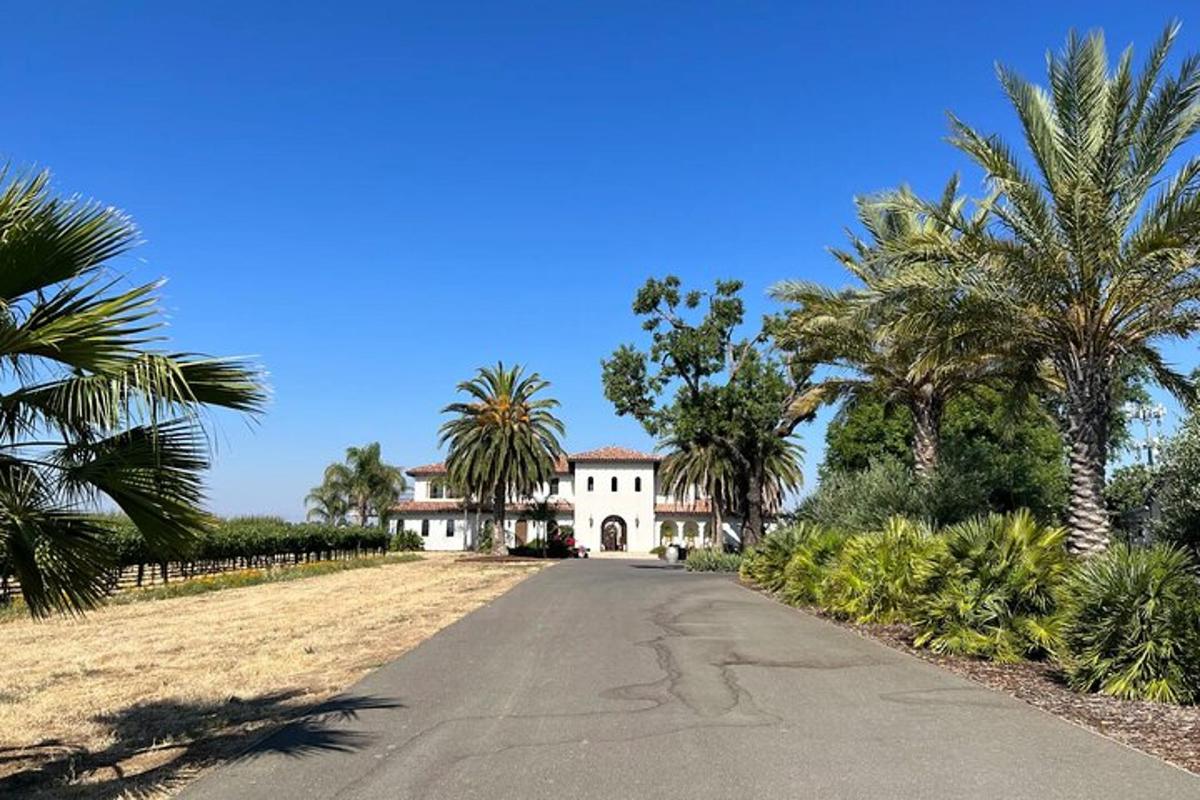 an empty road in front of a house with palm trees