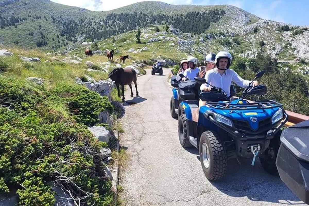 Lankytinos vietos ar pramogos nuotrauka numeris 3