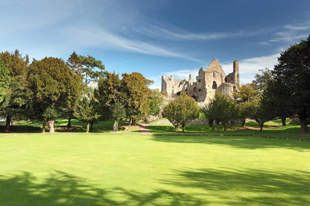 een groot groen veld met een kasteel op de achtergrond