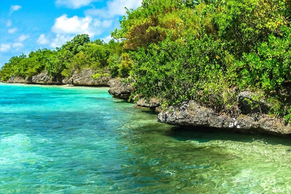una spiaggia con acqua turchese e alberi verdi