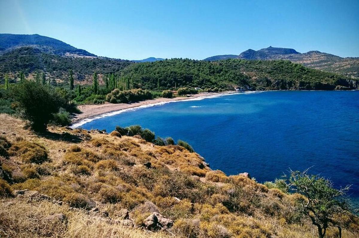 Lankytinos vietos ar pramogos nuotrauka numeris 1