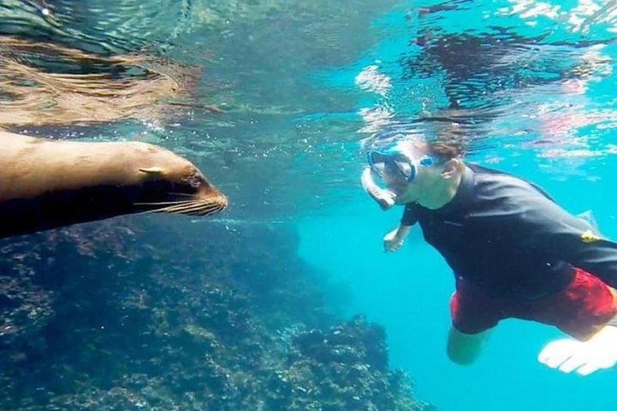 a person swimming in the water with a diver