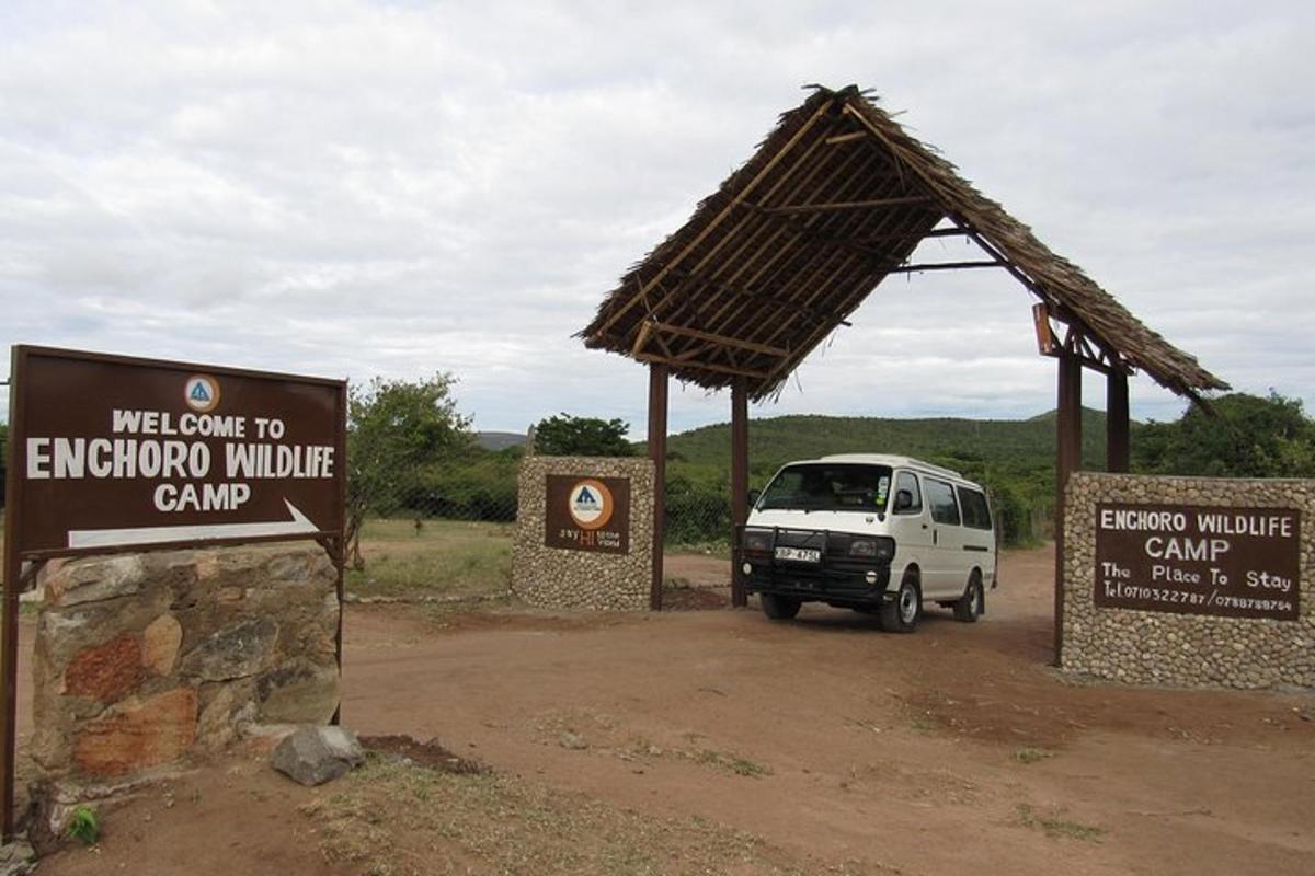 un furgone bianco parcheggiato in un campo di fauna selvatica all'aperto