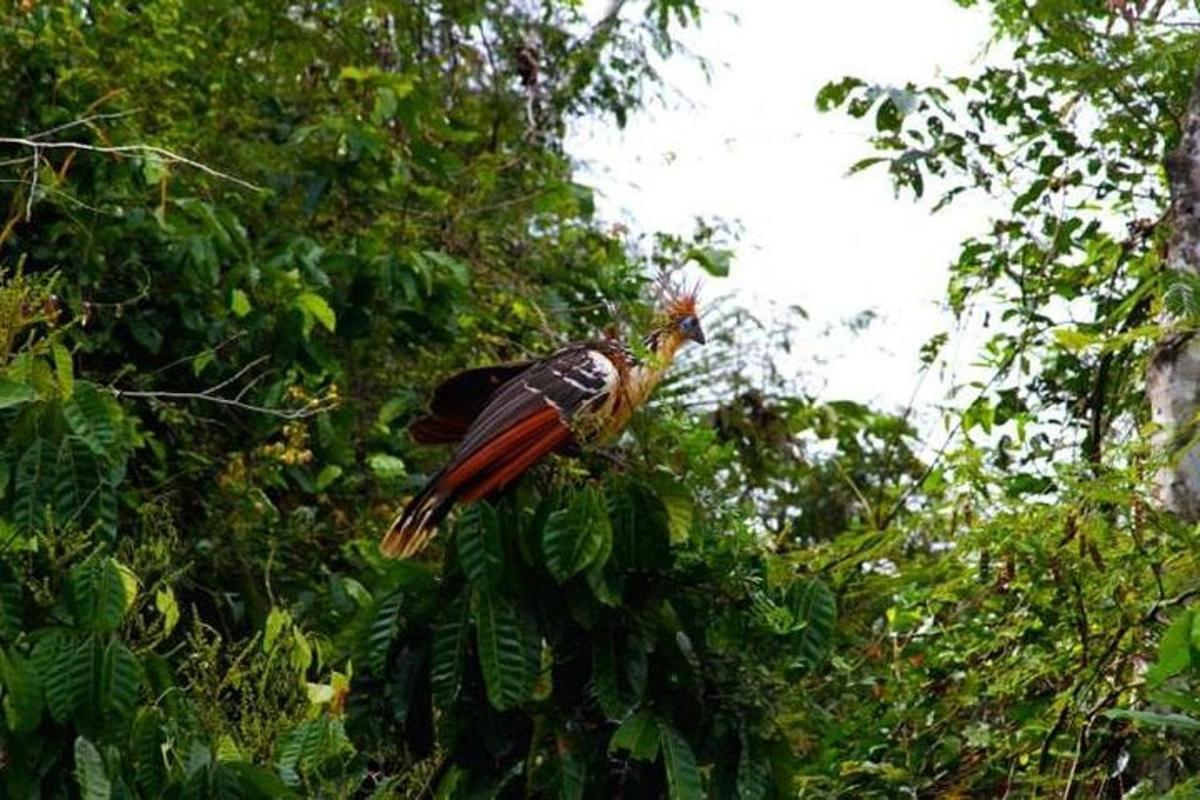 Fotografia da atração 1