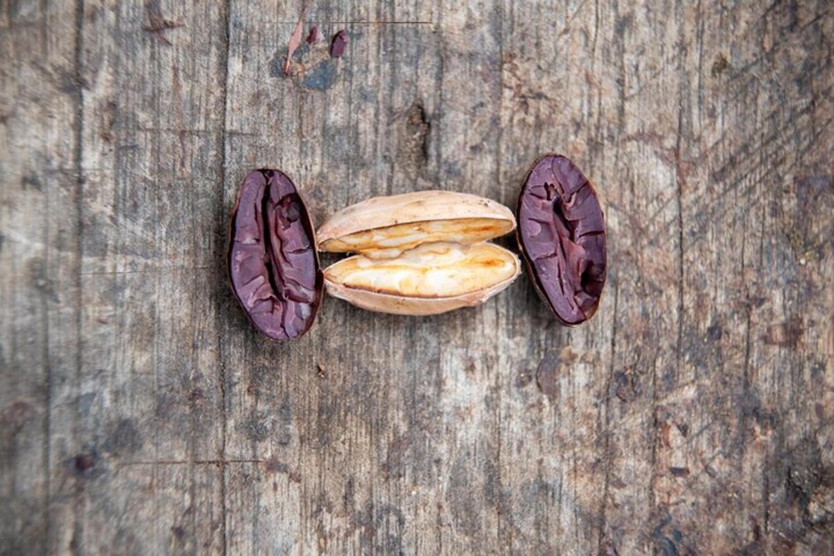 sebuah meja dengan dua keping roti dan dua bahagian mentega kacang