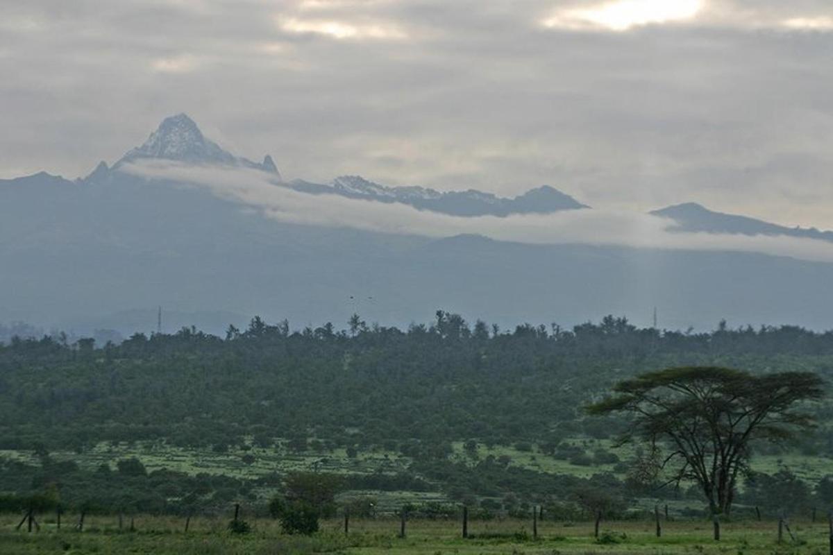 uma montanha ao longe com uma árvore em primeiro plano