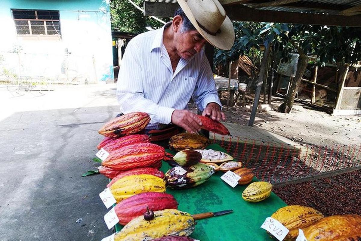 một người đàn ông đội mũ cao bồi đang cắt rau