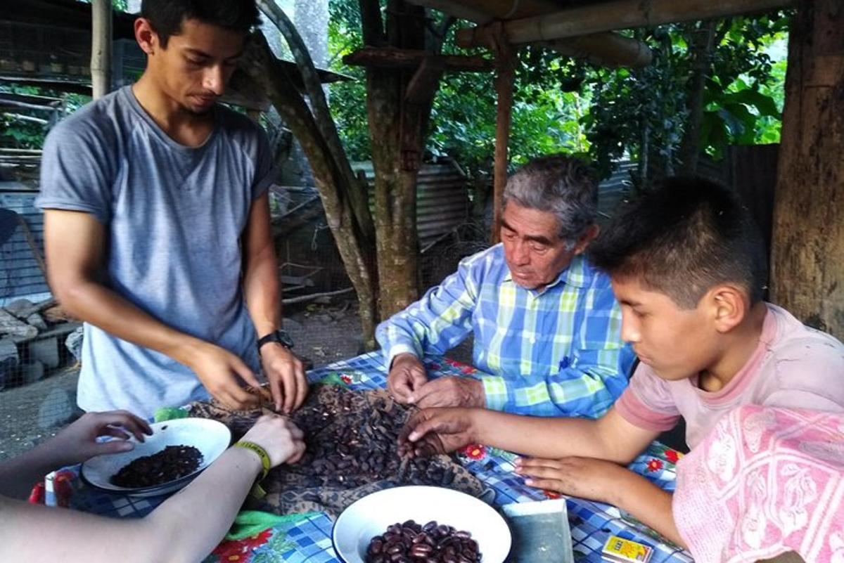 một nhóm người ngồi quanh một cái bàn với những quả nho