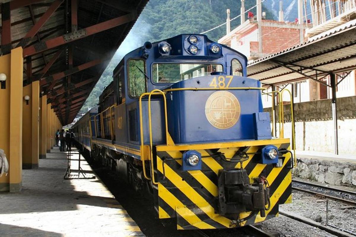 bir tren istasyonunda park edilmiş mavi ve sarı bir tren