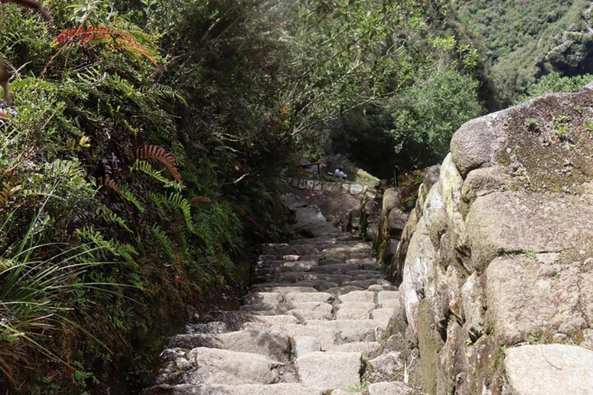 satu set tangga batu di atas gunung