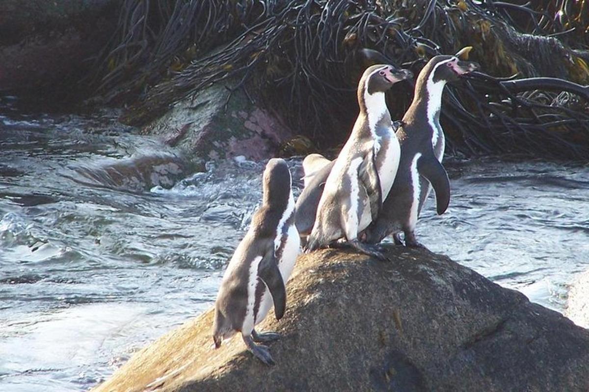 Fotografia da atração 2