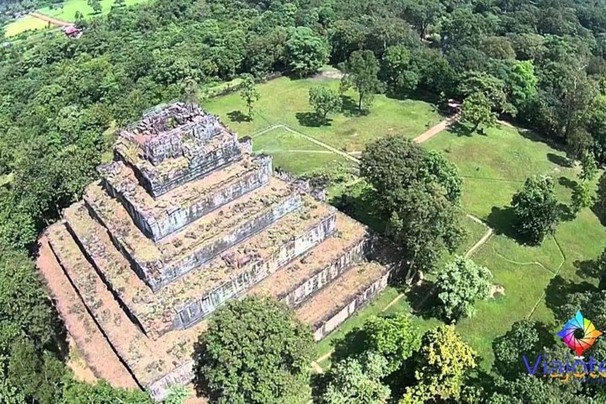 pemandangan atas taman dengan pokok dan padang