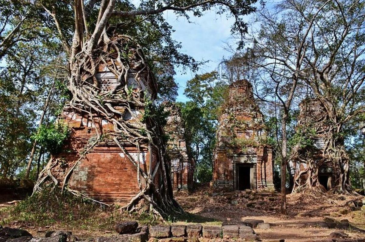 bangunan lama dengan pokok di hadapannya