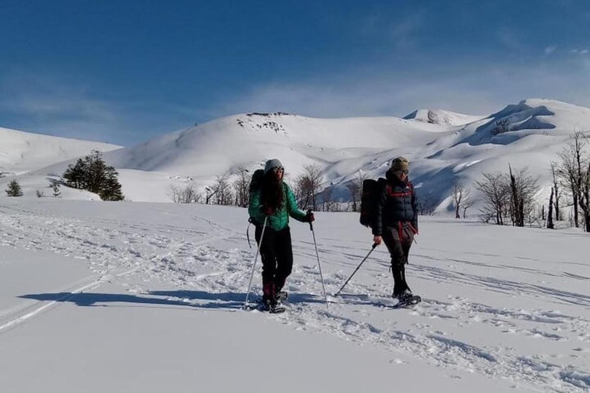 Bilde 4 av attraksjonen