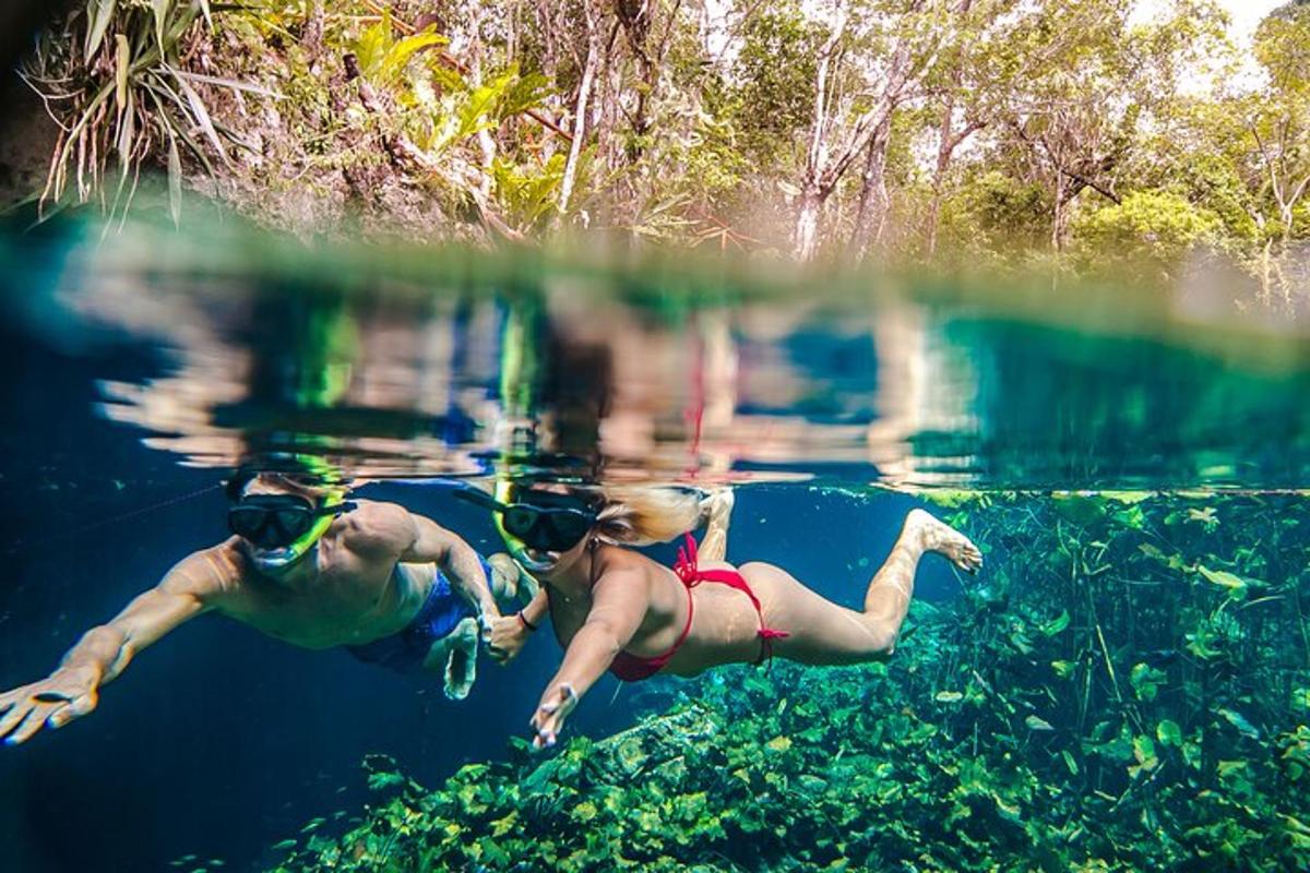 duas pessoas nadando em um corpo d'água