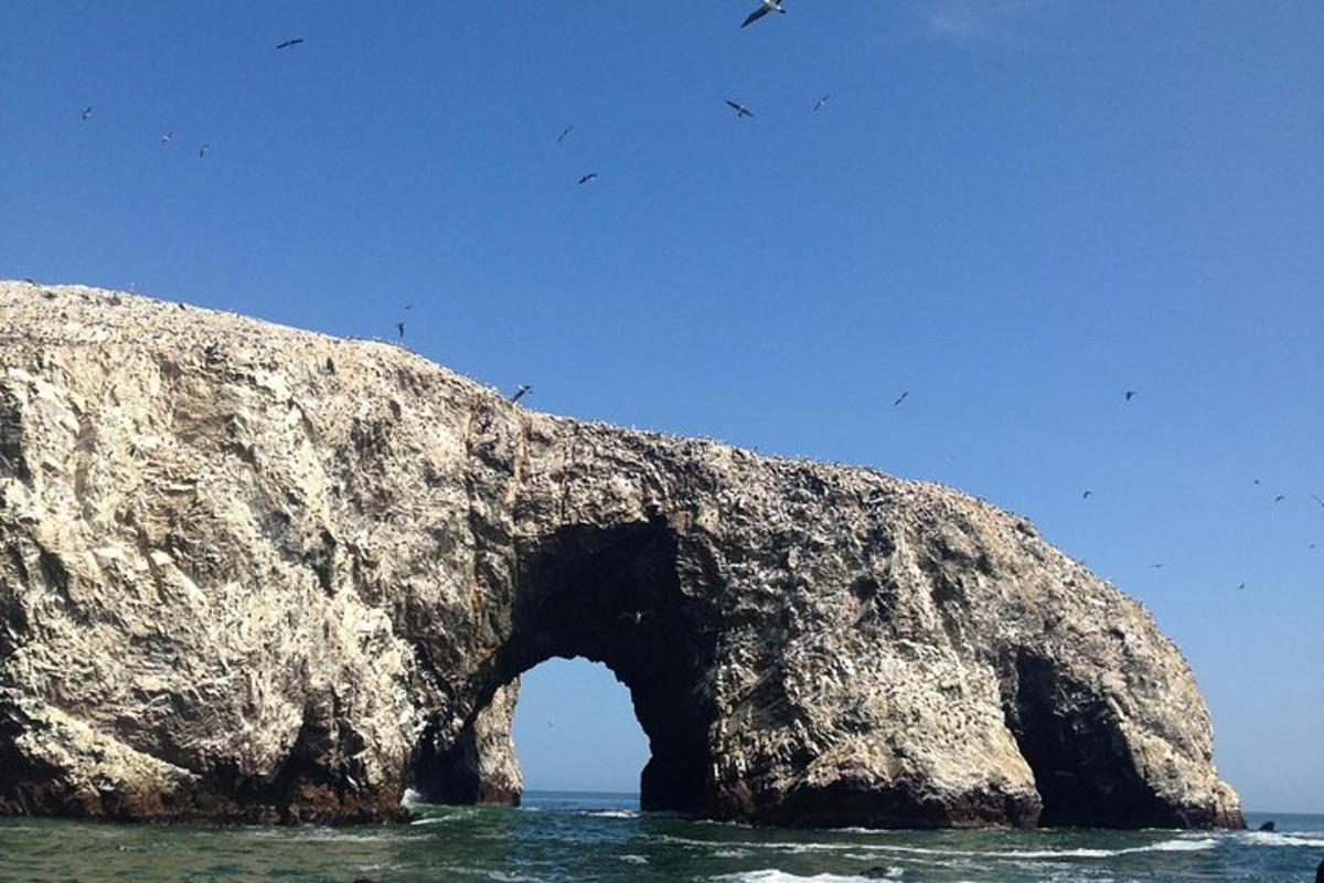 una grande roccia nell'oceano con uccelli che volano